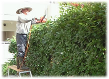 ������A���荞��